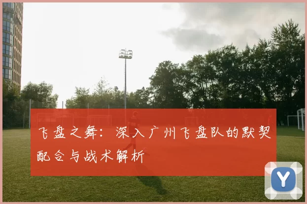飞盘之舞:深入广州飞盘队的默契配合与战术解析