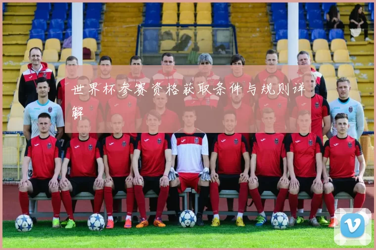 世界杯参赛资格获取条件与规则详解