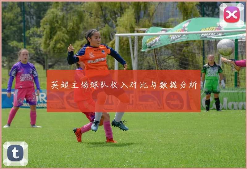 英超主场球队收入对比与数据分析
