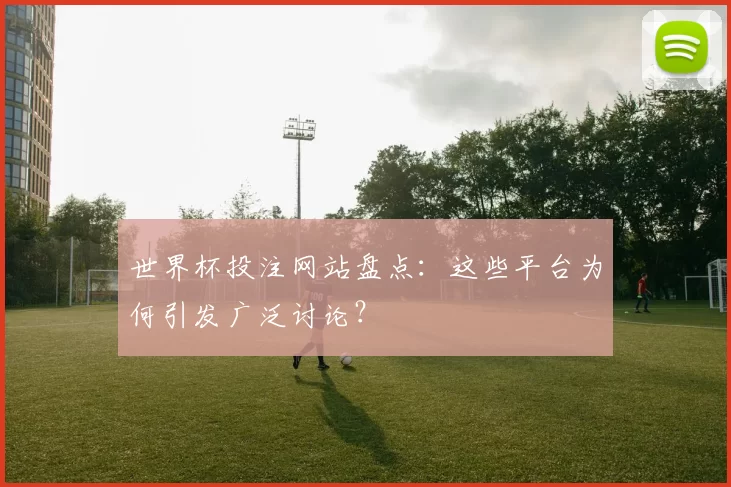 世界杯投注网站盘点：这些平台为何引发广泛讨论？