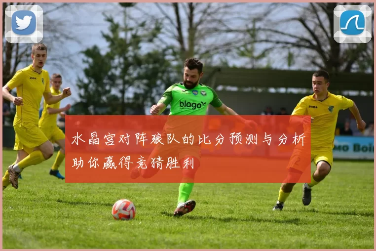 水晶宫对阵狼队的比分预测与分析助你赢得竞猜胜利