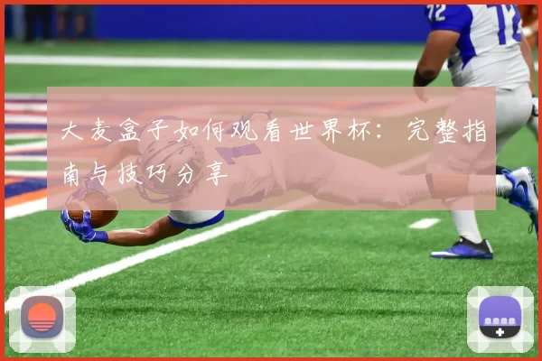 大麦盒子如何观看世界杯：完整指南与技巧分享