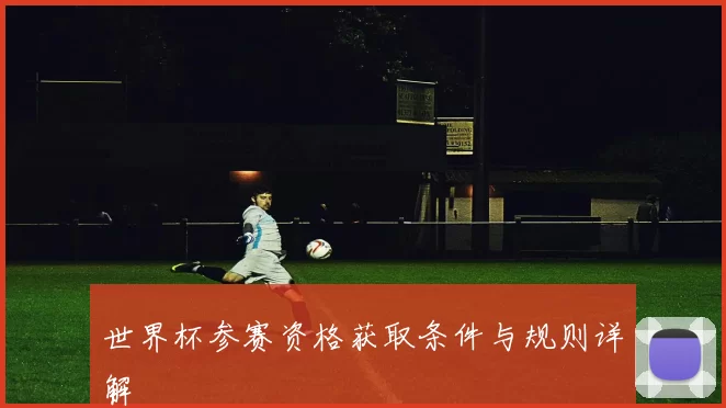 世界杯参赛资格获取条件与规则详解