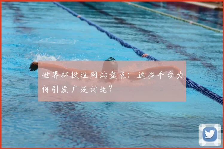 世界杯投注网站盘点:这些平台为何引发广泛讨论?