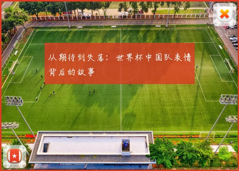 从期待到失落:世界杯中国队表情背后的故事