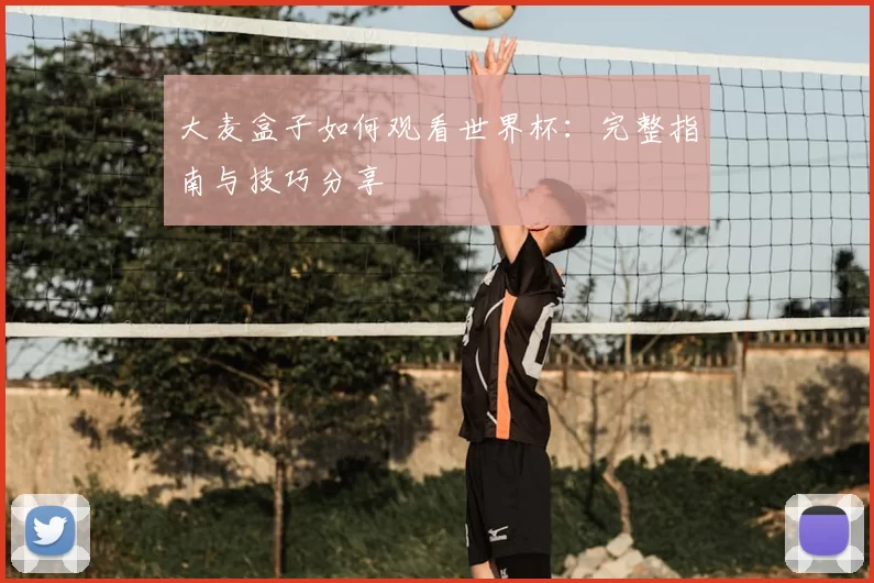 大麦盒子如何观看世界杯：完整指南与技巧分享