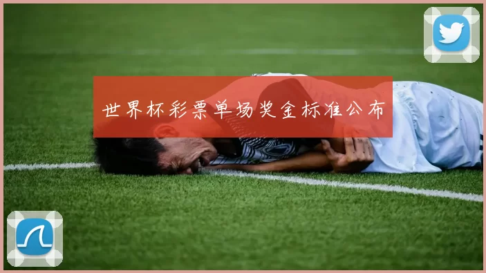 世界杯彩票单场奖金标准公布