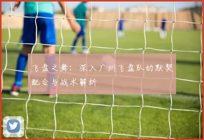 飞盘之舞:深入广州飞盘队的默契配合与战术解析